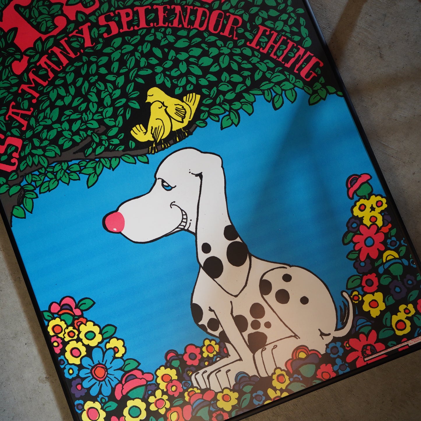 1970's ブラックライトポスター Love is a many splendor thing