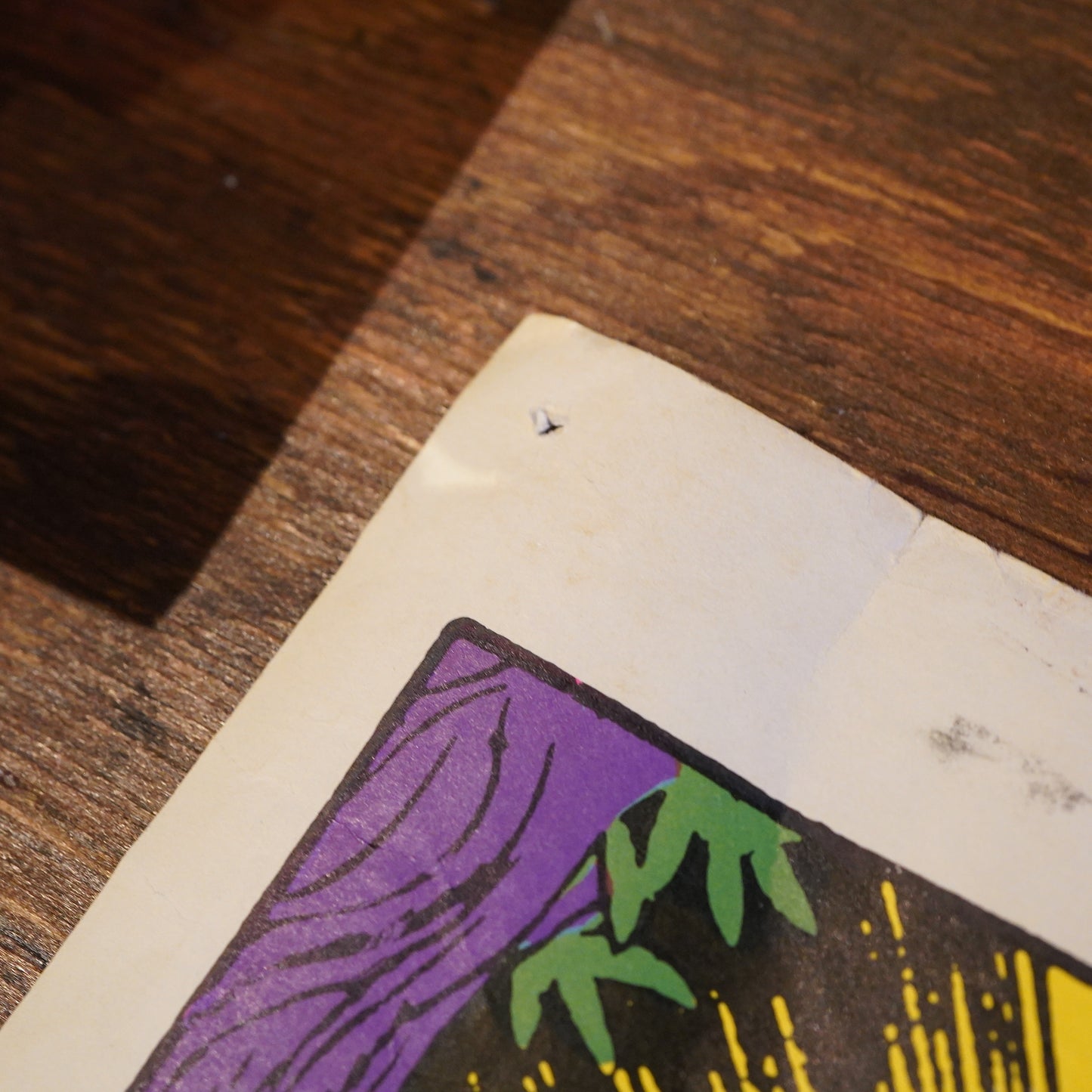 1960's The Disneyland Memorial Orgy サイケデリックポスター