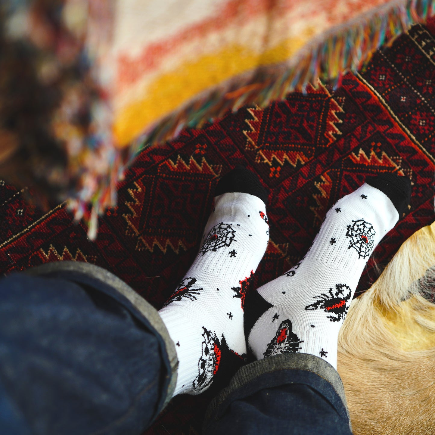 SK OLDIES ソックス "SK Flash"