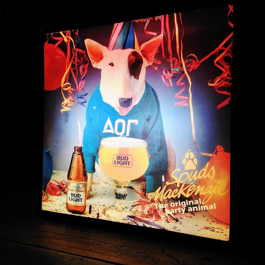 1980's BUD LIGHT バドライト ライトサイン