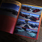 BURNOUT MAGAZINE #94　※単品購入不可