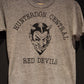 1970's HUNTERDON CENTRAL RED DEVILS ヴィンテージTシャツ