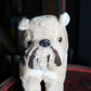 1970's Mack Truck  Bulldog Plush Toy ぬいぐるみ