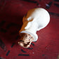 1950's SKULL デキャンタ ボトル